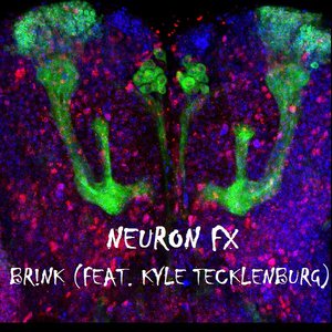 Neuron FX - Single