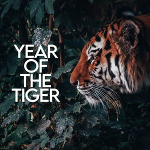 Year Of The Tiger