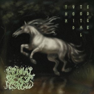 Thx Void Total Edge - EP