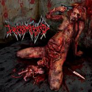 Torn From the Womb cover