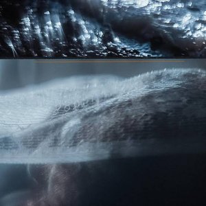 Furta Cor - Single