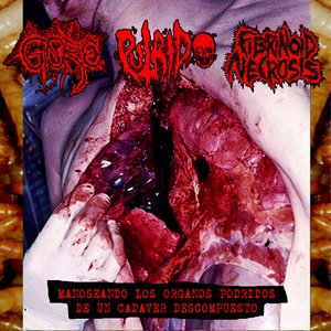 Manoseando los Organos Podridos de un Cadaver Descompuesto