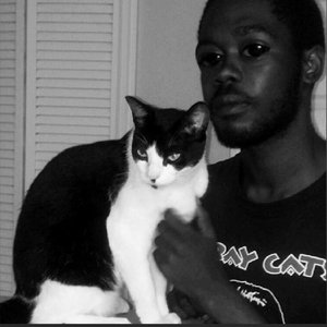 9 lives