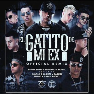 El Gatito de Mi Ex (Remix)