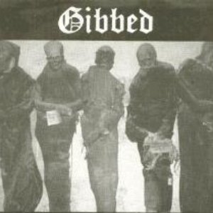 Gibbed 的头像