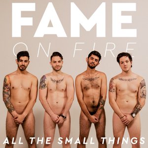 All the Small Things - Single