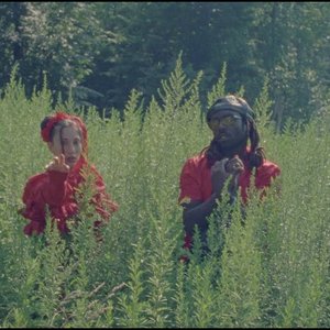 Tei Shi feat. Blood Orange 的头像