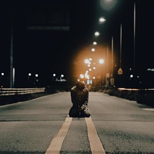 Lost at night
