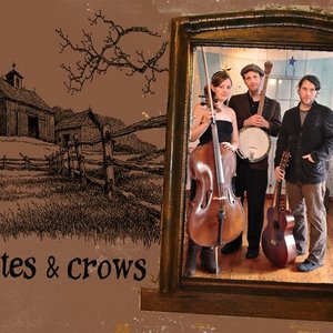 Kites & Crows 的头像
