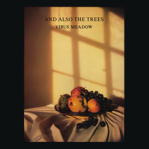 Virus Meadow cover