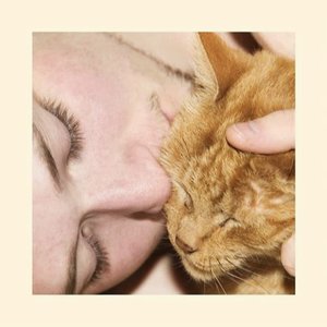 Appetizers - EP