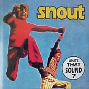 What's That Sound? cover