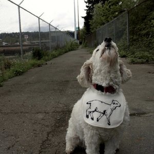 Bib