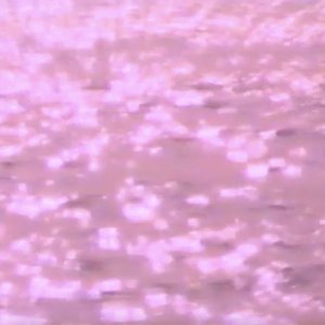 Image for 'd i r t p a t h 流れ者'