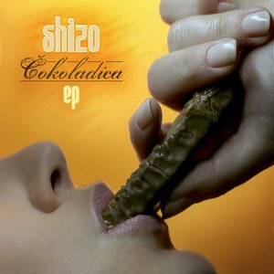 shizo 的头像