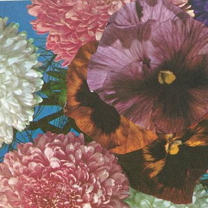 Annual Flowers In Color (OG mix)