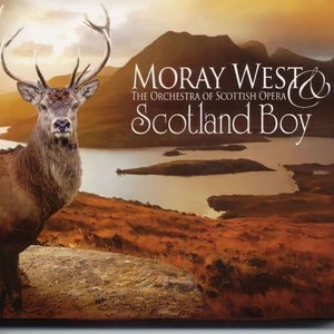 Scotland Boy