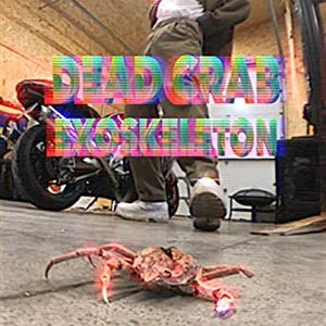 Dead Crab Exoskeleton - Single