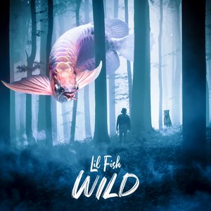 Image for 'Wild'