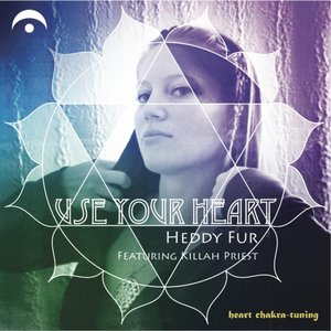 Use Your Heart (feat. Killah Priest)
