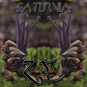 Saturnia & ZJ 的头像
