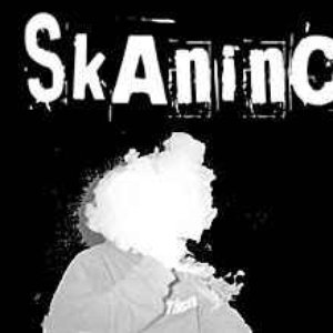 Die Skaninchen 的头像