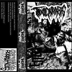 demo I