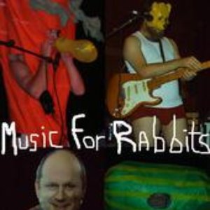 Avatar for Music For Rabbits