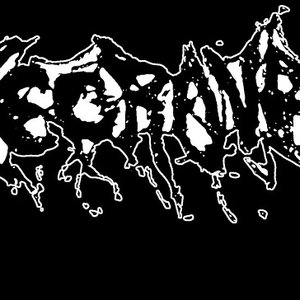 Avatar for NECROVEG