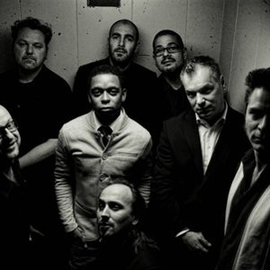 Typhoon & The New Cool Collective 的头像