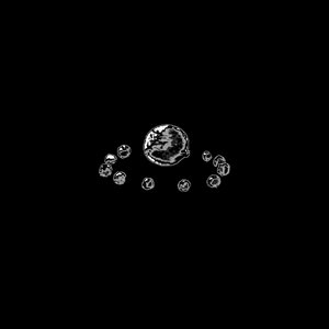TERA • FIRM