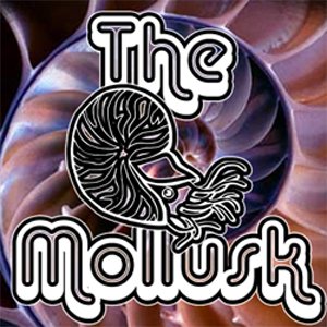 The Mollusk 的头像