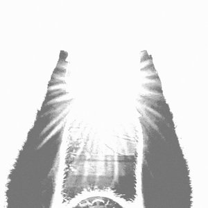 Could This Be Light