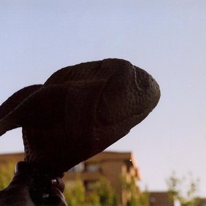 Avatar de SAR Pollo Volador