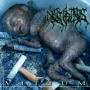 Necrocide (Bra) 的头像