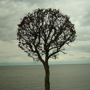 Kharuta 的头像