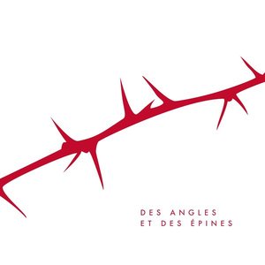 Des angles et des épines