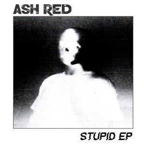 The Stupid Song