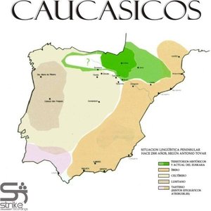 Caucasicos