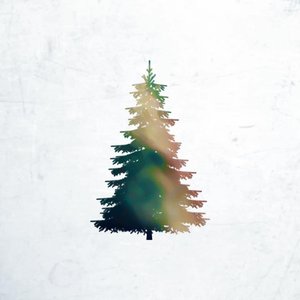 Evergreen - Single