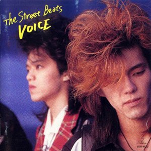 VOICE