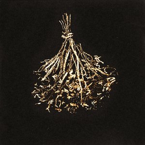 Dried Flowers