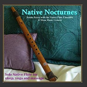 NATIVE NOCTURNES - Native Flute Music for Sleep, Yoga & Massage