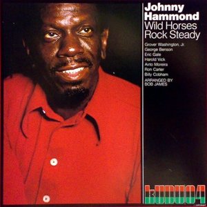 Wild Horses/Rock Steady