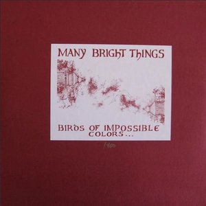 Birds Of Impossible Colors (Swim In An Open Sky)