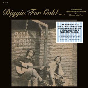 Diggin' For Gold Vol 13 (A Collection Of Demented 60' R&B/Punk & Mesmerizing Pop.)