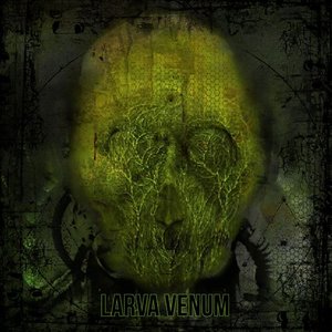 Larva Venom