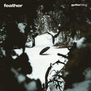 Feather