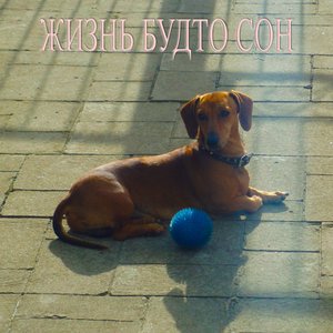 Жизнь будто сон