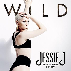 Jessie J feat. Big Sean & Dizzee Rascal 的头像